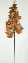 Load image into Gallery viewer, Old Maple Leaves 48" Stem/Spray/Branch Bundle of 12 Fall Aged Dried Leaves | Vintage Character