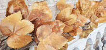Load image into Gallery viewer, Old Maple Leaves 6ft Garland Fall Decor Aged Dried Leaves | Vintage Character