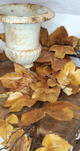 Load image into Gallery viewer, Old Maple Leaves 48" Stem/Spray/Branch Fall Bundle of 7 Aged Dried Leaves | Vintage Character