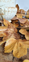 Load image into Gallery viewer, Old Maple Leaves 48" Stem/Spray/Branch Fall Bundle of 7 Aged Dried Leaves | Vintage Character