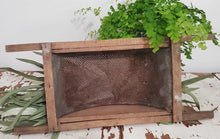 Load image into Gallery viewer, Antique Tomato Washer | Vintage Character