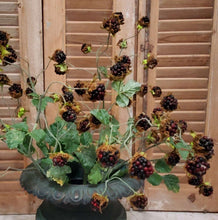 Load image into Gallery viewer, Wild Blackberry Stem | Vintage Character