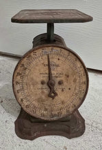 Load image into Gallery viewer, Antique Green Scale