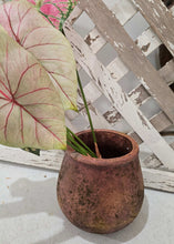 Load image into Gallery viewer, Burnt Orange Clay Pottery Vase ~ Medium