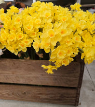 Load image into Gallery viewer, Faux Buttercup Yellow Easter Narcissus Flower Bunch