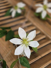 Load image into Gallery viewer, Faux Clematis Stem ~ White