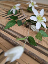 Load image into Gallery viewer, Faux Clematis Stem ~ White