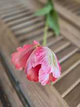 Load image into Gallery viewer, Faux Parrot Tulip ~ Pink