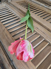 Load image into Gallery viewer, Faux Parrot Tulip ~ Pink