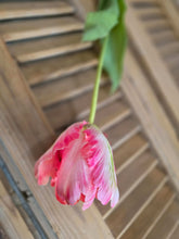 Load image into Gallery viewer, Faux Parrot Tulip ~ Pink