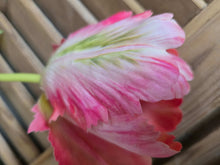Load image into Gallery viewer, Faux Parrot Tulip ~ Pink