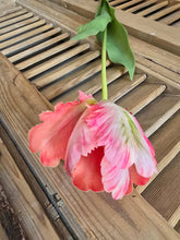 Load image into Gallery viewer, Faux Parrot Tulip ~ Pink