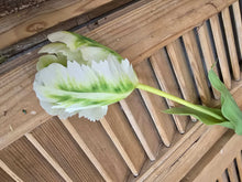 Load image into Gallery viewer, Faux Parrot Tulip ~ Green/White