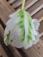Load image into Gallery viewer, Faux Parrot Tulip ~ Green/White