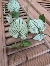 Load image into Gallery viewer, Faux Meadow Vine ~ Green