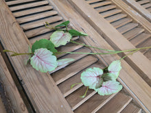 Load image into Gallery viewer, Faux Meadow Vine ~ Blush
