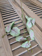 Load image into Gallery viewer, Faux Meadow Vine ~ Blush