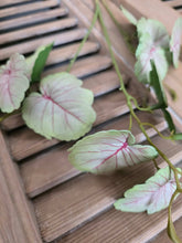 Load image into Gallery viewer, Faux Meadow Vine ~ Blush