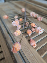 Load image into Gallery viewer, Faux Pink Pod Stem
