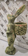 Load image into Gallery viewer, Aged Gathering Rabbit Statue