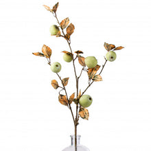 Load image into Gallery viewer, Apple and Leaves Stem 37" | Vintage Character