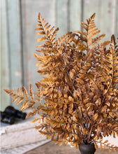 Load image into Gallery viewer, Fall Autumnal Fern Bundle ~ Cinnamon