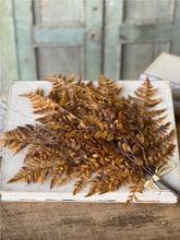 Load image into Gallery viewer, Fall Autumnal Fern Bundle ~ Cinnamon