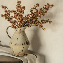 Load image into Gallery viewer, Brown &amp; White Daisy Bush ~22"