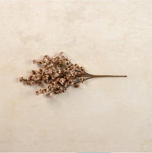 Load image into Gallery viewer, Brown &amp; White Daisy Bush ~22"