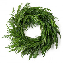 Load image into Gallery viewer, christmas frosted norfolk pine wreath - 0