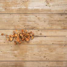 Load image into Gallery viewer, 35" Rust Orange Eucalyptus Spray | Vintage Character