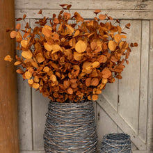 Load image into Gallery viewer, 35" Rust Orange Eucalyptus Spray | Vintage Character