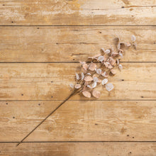 Load image into Gallery viewer, 34" Tan/Brown Eucalyptus Penny Leaf Spray