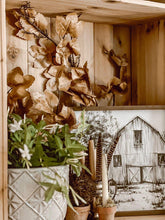 Load image into Gallery viewer, Old Maple Leaves 48" Stem/Spray/Branch Bundle of 12 Fall Aged Dried Leaves | Vintage Character