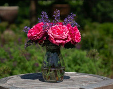 Load image into Gallery viewer, Loves Me, Loves Me Not Rose ~ Bloomables