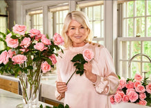 Load image into Gallery viewer, Martha Stewart Rose ~ Bloomables