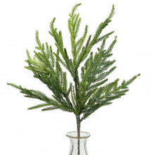 Load image into Gallery viewer, Christmas Norfolk Pine Stems~ Bundle of 6 | Vintage Character