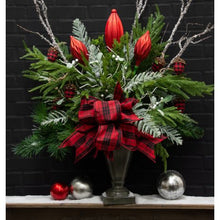 Load image into Gallery viewer, Christmas Norfolk Pine Stems~ Bundle of 6 | Vintage Character