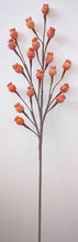 Load image into Gallery viewer, Faux Pink/Peach Pod Stem