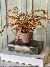 Load image into Gallery viewer, Fall Potted Autumn Fern ~ Cinnamon