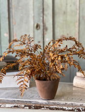 Load image into Gallery viewer, Fall Potted Autumn Fern ~ Cinnamon