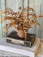 Load image into Gallery viewer, Fall Potted Autumn Fern ~ Cinnamon