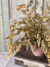 Load image into Gallery viewer, Fall Potted Autumn Fern ~ Moss