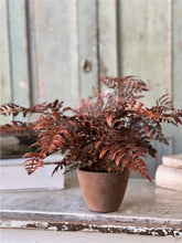 Load image into Gallery viewer, Fall Potted Autumn Fern ~ Rust