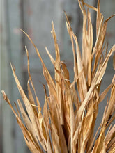 Load image into Gallery viewer, Fall Rye Grass ~ Yellow