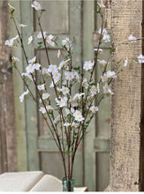 Load image into Gallery viewer, Wild Blossom White Spray | Vintage Character
