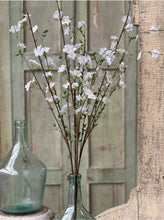 Load image into Gallery viewer, Wild Blossom White Spray | Vintage Character