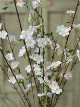 Load image into Gallery viewer, Wild Blossom White Spray | Vintage Character