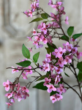 Load image into Gallery viewer, Canterbury Pink Hydrangea Spray