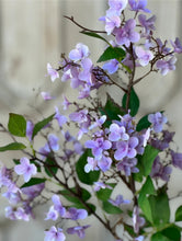Load image into Gallery viewer, Canterbury Lilac Purple Hydrangea Spray